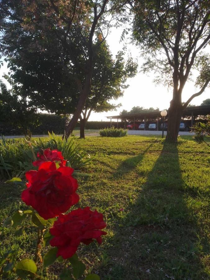 Agriturismo Podere Santa Virginia Albinia Exteriér fotografie